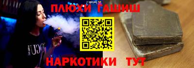 индика Бийск
